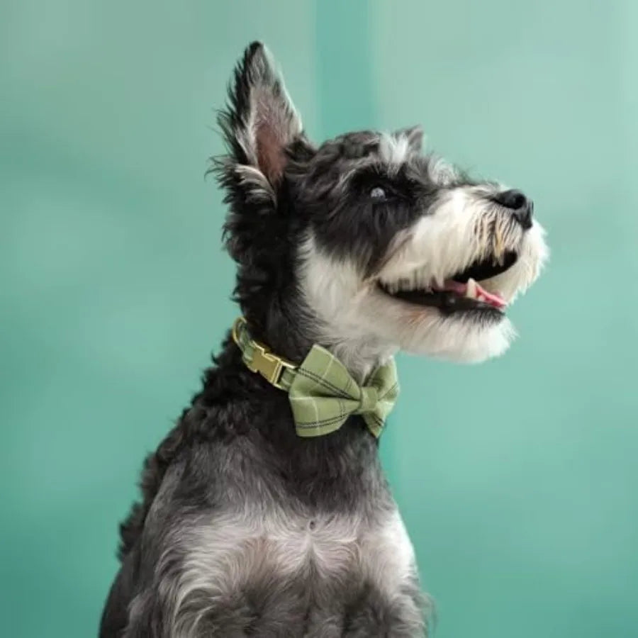 Extra Small Dog Harness Collar and Leash Set with Bowtie, Soft Adjustable Plaid Polyester Harness for Small Dogs and Cats, Red/