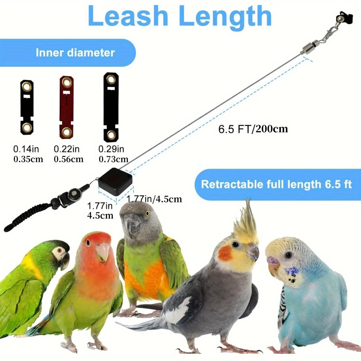 Bird Leash, Retractable Anti Bite Harness, 3 Different Sizes Of Foot Ring, Parrot Flying Rope For Birds Outdoor Training