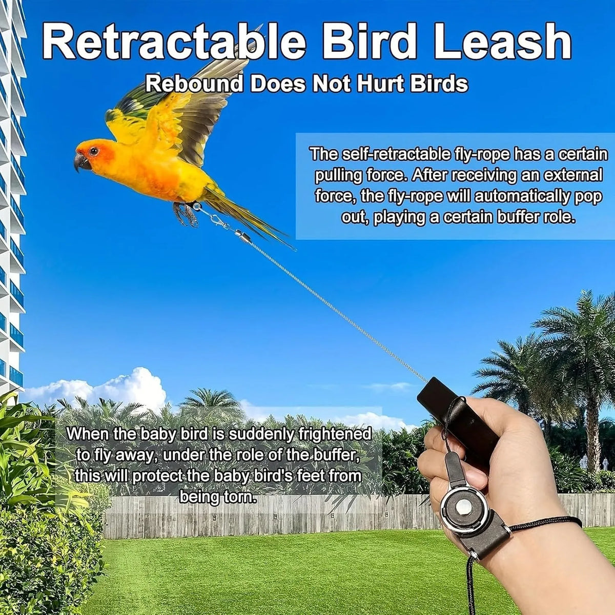 Bird Leash, Retractable Anti Bite Harness, 3 Different Sizes Of Foot Ring, Parrot Flying Rope For Birds Outdoor Training
