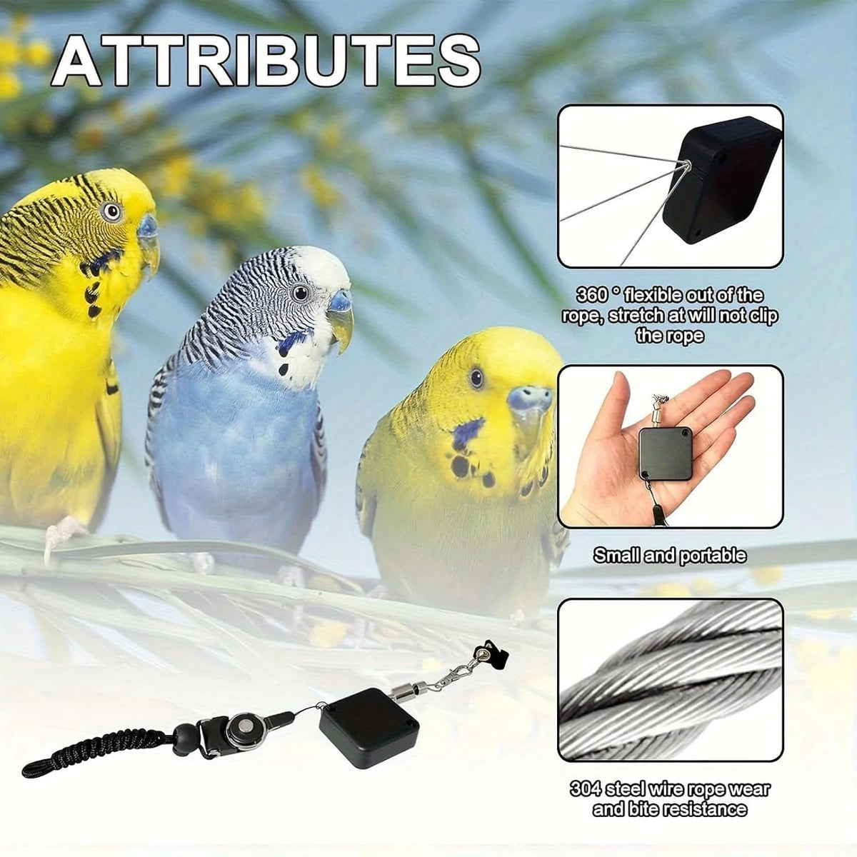 Bird Leash, Retractable Anti Bite Harness, 3 Different Sizes Of Foot Ring, Parrot Flying Rope For Birds Outdoor Training